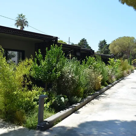Cook's Club Rhodes Ξενοδοχείο 4*