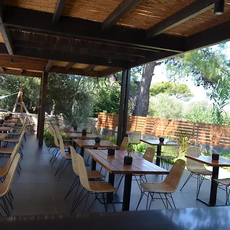 Hotel Cook's Club Rhodes Ialysos (Rhodes)